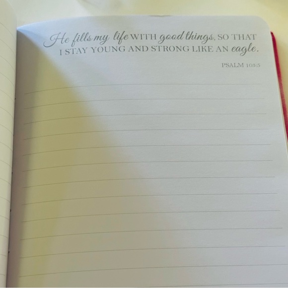 NEW Pink Devotional Journal Diary Softback - Picture 3 of 6